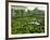 Garden Maze, Portugal, Europe-Westwater Nedra-Framed Photographic Print