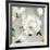 Garden Memories II-Asia Jensen-Framed Art Print