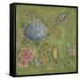 Garden Menagerie III-Kate McRostie-Framed Stretched Canvas