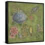 Garden Menagerie III-Kate McRostie-Framed Stretched Canvas