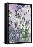 Garden Moment II-Samuel Dixon-Framed Stretched Canvas