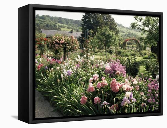 Garden, Monet's House, Giverny, Haute Normandie (Normandy), France-Ken Gillham-Framed Stretched Canvas