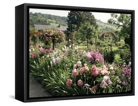 Garden, Monet's House, Giverny, Haute Normandie (Normandy), France-Ken Gillham-Framed Stretched Canvas