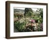 Garden, Monet's House, Giverny, Haute Normandie (Normandy), France-Ken Gillham-Framed Photographic Print