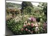 Garden, Monet's House, Giverny, Haute Normandie (Normandy), France-Ken Gillham-Mounted Photographic Print