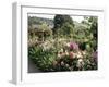 Garden, Monet's House, Giverny, Haute Normandie (Normandy), France-Ken Gillham-Framed Photographic Print