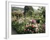 Garden, Monet's House, Giverny, Haute Normandie (Normandy), France-Ken Gillham-Framed Photographic Print