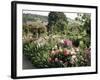 Garden, Monet's House, Giverny, Haute Normandie (Normandy), France-Ken Gillham-Framed Photographic Print