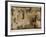 Garden, Montacadini , Italy-Theo Westenberger-Framed Photographic Print