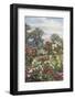 Garden, Newtown House-Beatrice Parsons-Framed Photographic Print