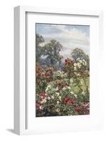 Garden, Newtown House-Beatrice Parsons-Framed Photographic Print