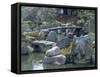 Garden, Nijo Castle, Kyoto, Japan, Asia-Robert Harding-Framed Stretched Canvas