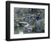 Garden, Nijo Castle, Kyoto, Japan, Asia-Robert Harding-Framed Photographic Print