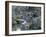 Garden, Nijo Castle, Kyoto, Japan, Asia-Robert Harding-Framed Photographic Print