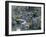 Garden, Nijo Castle, Kyoto, Japan, Asia-Robert Harding-Framed Photographic Print