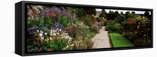 Garden of a Castle, Crathes Castle, Aberdeenshire, Scotland-null-Framed Stretched Canvas