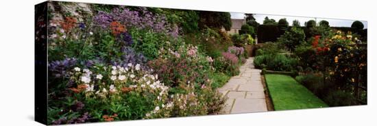 Garden of a Castle, Crathes Castle, Aberdeenshire, Scotland-null-Stretched Canvas