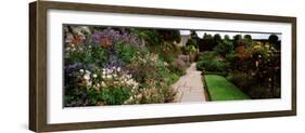 Garden of a Castle, Crathes Castle, Aberdeenshire, Scotland-null-Framed Photographic Print