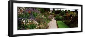 Garden of a Castle, Crathes Castle, Aberdeenshire, Scotland-null-Framed Photographic Print