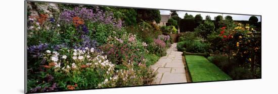 Garden of a Castle, Crathes Castle, Aberdeenshire, Scotland-null-Mounted Photographic Print