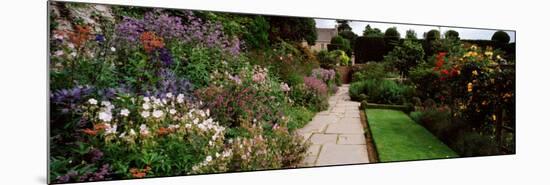 Garden of a Castle, Crathes Castle, Aberdeenshire, Scotland-null-Mounted Photographic Print