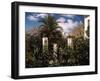 Garden of an Inn, Capri, C.1859 (Oil on Canvas)-Frederic Leighton-Framed Giclee Print