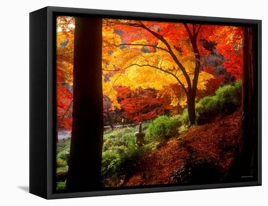 Garden of Bishamon-Do Temple-null-Framed Stretched Canvas