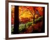 Garden of Bishamon-Do Temple-null-Framed Photographic Print