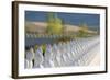 Garden of Buddahs I-Kathy Mahan-Framed Photographic Print