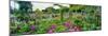 Garden of Claude Monet's House, Giverny, France-null-Mounted Photographic Print