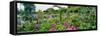 Garden of Claude Monet's House, Giverny, France-null-Framed Stretched Canvas