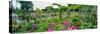 Garden of Claude Monet's House, Giverny, France-null-Stretched Canvas
