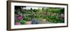 Garden of Claude Monet's House, Giverny, France-null-Framed Photographic Print