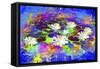 Garden Of Colors-Ata Alishahi-Framed Stretched Canvas