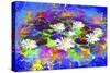 Garden Of Colors-Ata Alishahi-Stretched Canvas