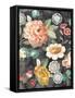 Garden of Delight Black II-Danhui Nai-Framed Stretched Canvas