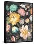 Garden of Delight Black III-Danhui Nai-Framed Stretched Canvas