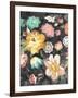 Garden of Delight Black III-Danhui Nai-Framed Art Print