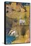 Garden of Earthly Delights-The Earthly Paradise-Hieronymus Bosch-Framed Stretched Canvas