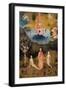 Garden of Earthly Delights-The Earthly Paradise-Hieronymus Bosch-Framed Art Print