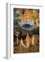 Garden of Earthly Delights-The Earthly Paradise-Hieronymus Bosch-Framed Art Print