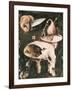 Garden of Earthly Delights-Hieronymus Bosch-Framed Art Print