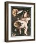 Garden of Earthly Delights-Hieronymus Bosch-Framed Art Print