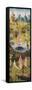 Garden of Earthly Delights-Hieronymus Bosch-Framed Stretched Canvas