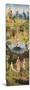 Garden of Earthly Delights-Hieronymus Bosch-Mounted Art Print
