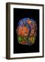 Garden of Eden, 2007-Jane Deakin-Framed Giclee Print