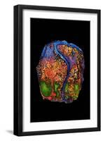 Garden of Eden, 2007-Jane Deakin-Framed Giclee Print