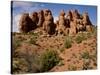 Garden of Eden Area, Arches National Park, Utah, Usa-Rob Sheppard-Stretched Canvas