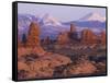 Garden of Eden with La Sal Mountains near Dusk, Arches National Park, Utah, USA-Jamie & Judy Wild-Framed Stretched Canvas