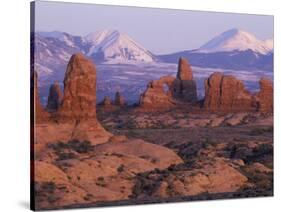 Garden of Eden with La Sal Mountains near Dusk, Arches National Park, Utah, USA-Jamie & Judy Wild-Stretched Canvas